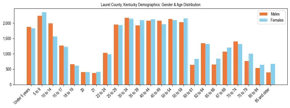 Bar chart showing the population distribution of Laurel County, Kentucky by age group and gender, based on 2023 ACS data.