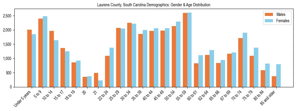 Bar chart showing the population distribution of Laurens County, South Carolina by age group and gender, based on 2023 ACS data.