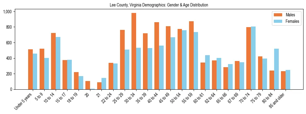 Bar chart showing the population distribution of Lee County, Virginia by age group and gender, based on 2023 ACS data.