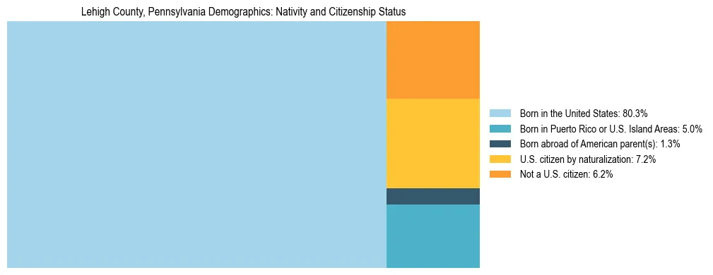 Treemap showing the population distribution by nativity and citizenship status in Lehigh County, Pennsylvania based on U.S. Census data.