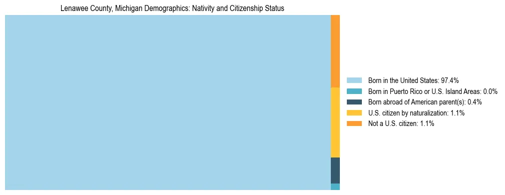 Treemap showing the population distribution by nativity and citizenship status in Lenawee County, Michigan based on U.S. Census data.