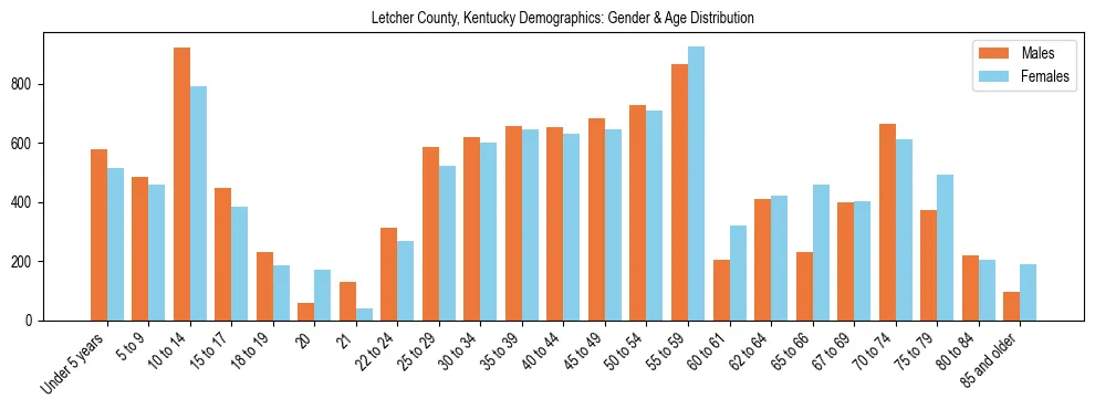 Bar chart showing the population distribution of Letcher County, Kentucky by age group and gender, based on 2023 ACS data.