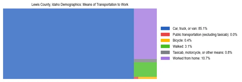 Treemap showing means of transportation to work distribution in Lewis County, Idaho.