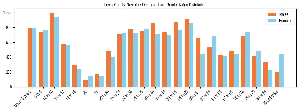 Bar chart showing the population distribution of Lewis County, New York by age group and gender, based on 2023 ACS data.