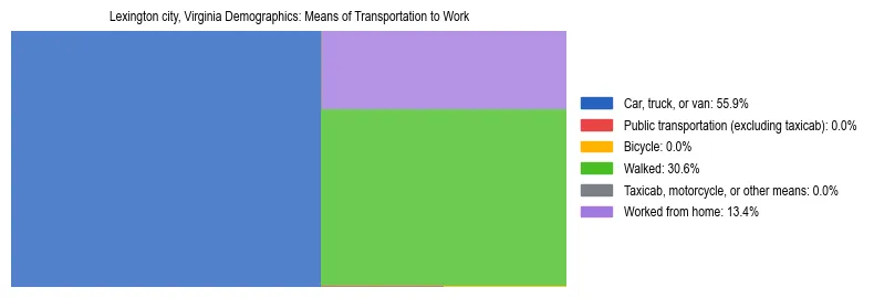 Treemap showing means of transportation to work distribution in Lexington city, Virginia.