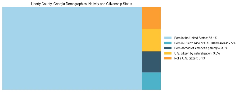Treemap showing the population distribution by nativity and citizenship status in Liberty County, Georgia based on U.S. Census data.