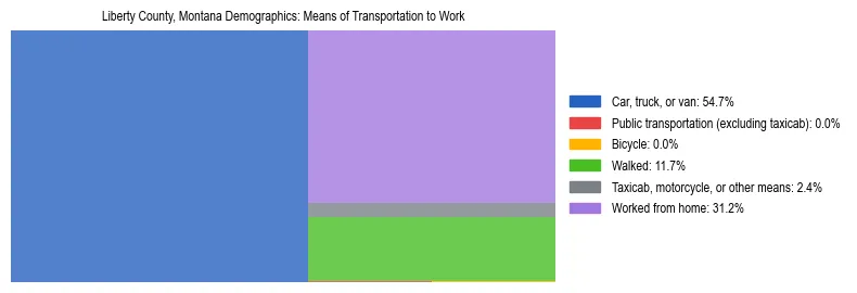 Treemap showing means of transportation to work distribution in Liberty County, Montana.