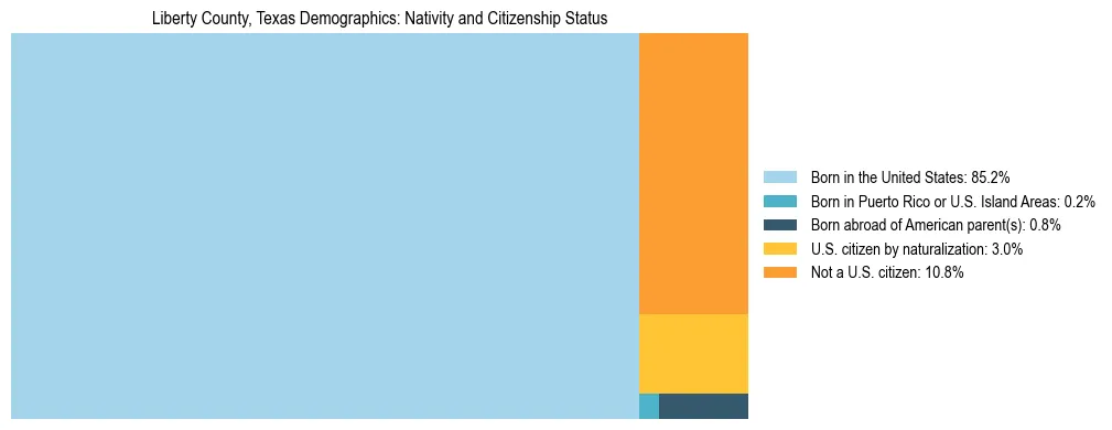 Treemap showing the population distribution by nativity and citizenship status in Liberty County, Texas based on U.S. Census data.