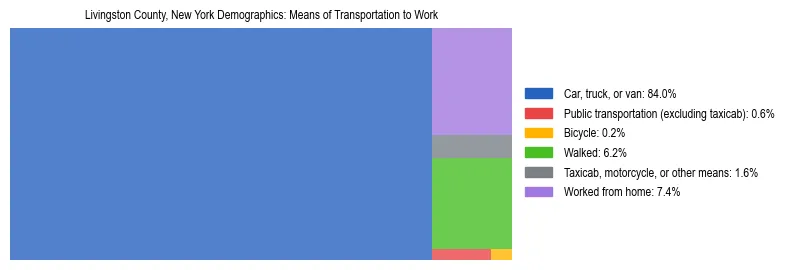 Treemap showing means of transportation to work distribution in Livingston County, New York.