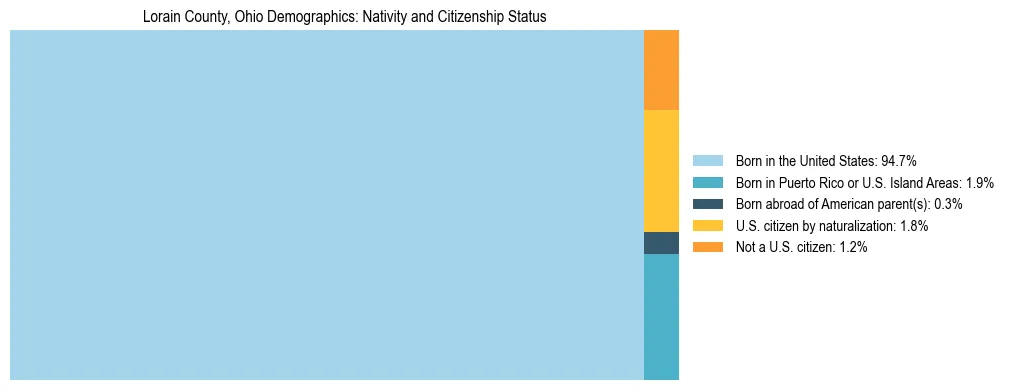 Treemap showing the population distribution by nativity and citizenship status in Lorain County, Ohio based on U.S. Census data.