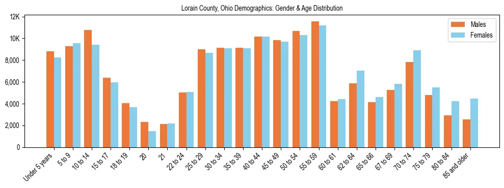 Bar chart showing the population distribution of Lorain County, Ohio by age group and gender, based on 2023 ACS data.
