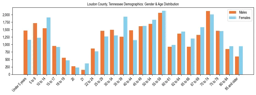 Bar chart showing the population distribution of Loudon County, Tennessee by age group and gender, based on 2023 ACS data.