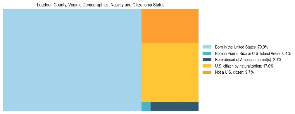 Treemap showing the population distribution by nativity and citizenship status in Loudoun County, Virginia based on U.S. Census data.