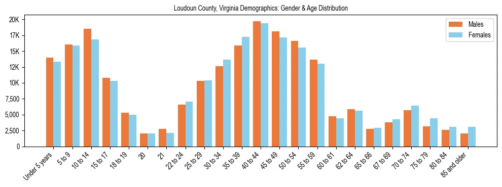 Bar chart showing the population distribution of Loudoun County, Virginia by age group and gender, based on 2023 ACS data.