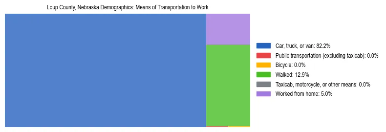 Treemap showing means of transportation to work distribution in Loup County, Nebraska.