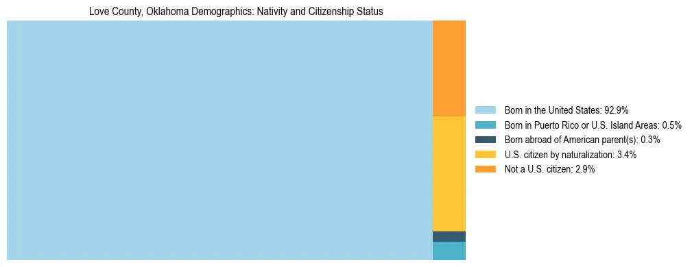 Treemap showing the population distribution by nativity and citizenship status in Love County, Oklahoma based on U.S. Census data.