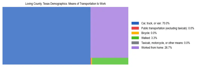 Treemap showing means of transportation to work distribution in Loving County, Texas.