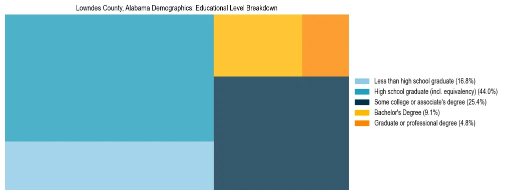 Treemap chart illustrating the educational attainment breakdown for population 25 years and over in Lowndes County, Alabama.
