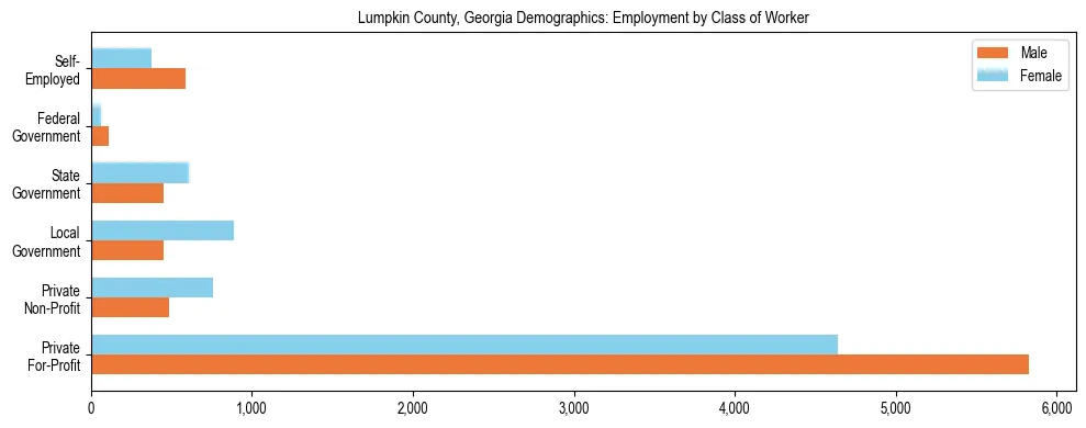 Horizontal bar chart showing employment distribution by class of worker and gender in Lumpkin County, Georgia, based on 2023 ACS data.