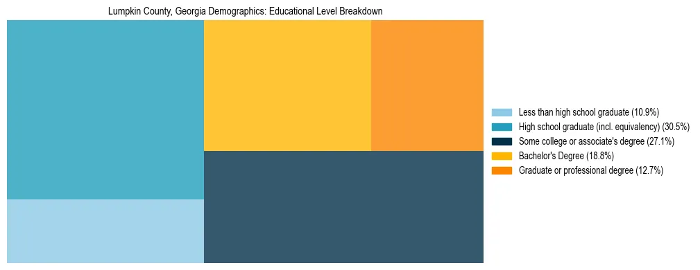 Treemap chart illustrating the educational attainment breakdown for population 25 years and over in Lumpkin County, Georgia.