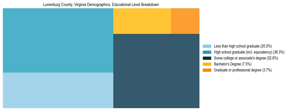 Treemap chart illustrating the educational attainment breakdown for population 25 years and over in Lunenburg County, Virginia.