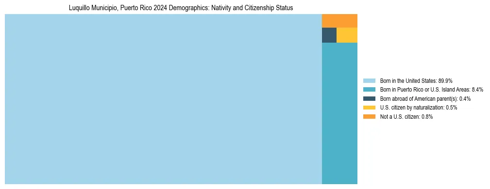 Treemap showing the population distribution by nativity and citizenship status in Luquillo Municipio, Puerto Rico based on U.S. Census data.