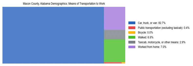 Treemap showing means of transportation to work distribution in Macon County, Alabama.