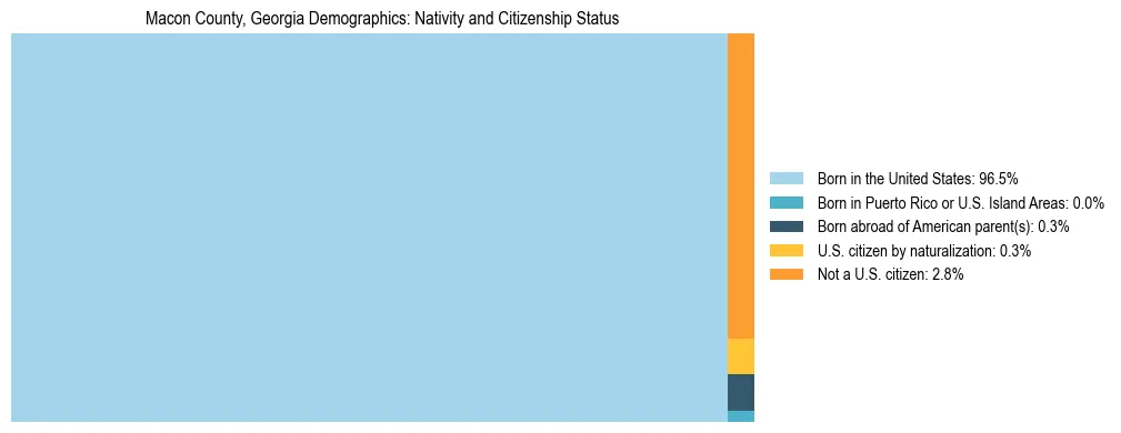 Treemap showing the population distribution by nativity and citizenship status in Macon County, Georgia based on U.S. Census data.