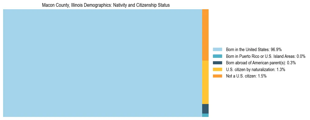 Treemap showing the population distribution by nativity and citizenship status in Macon County, Illinois based on U.S. Census data.
