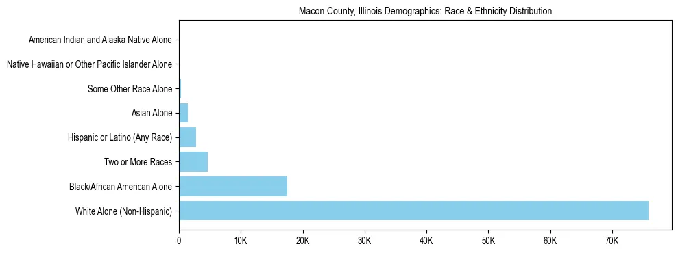 Race and Ethnicity Distribution Chart for Macon County, Illinois