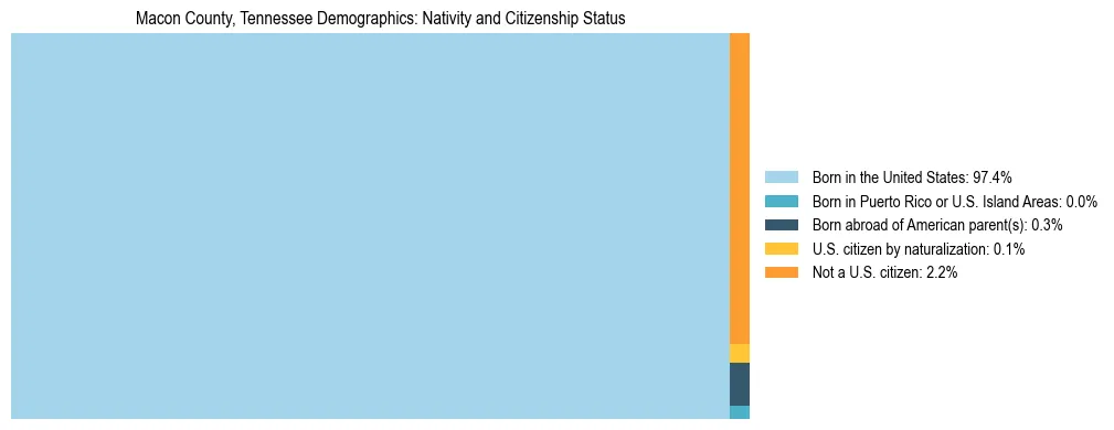 Treemap showing the population distribution by nativity and citizenship status in Macon County, Tennessee based on U.S. Census data.