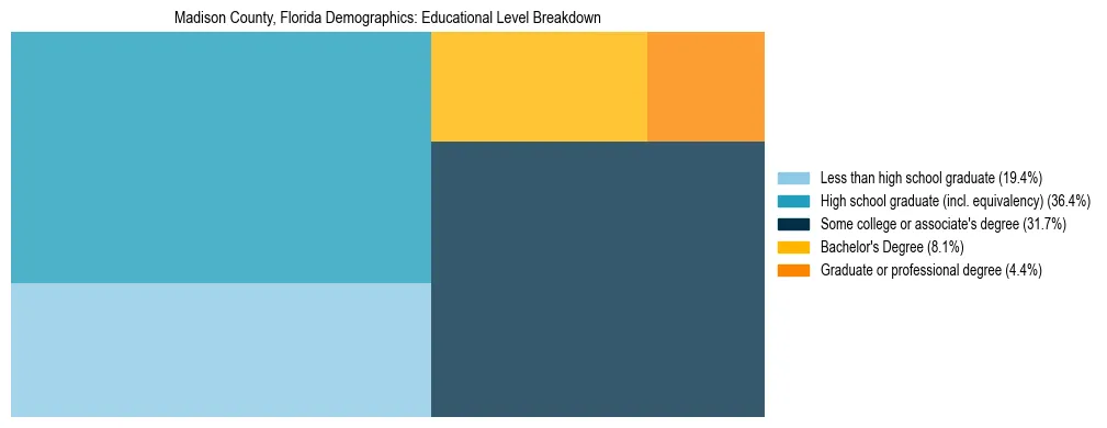 Treemap chart illustrating the educational attainment breakdown for population 25 years and over in Madison County, Florida.