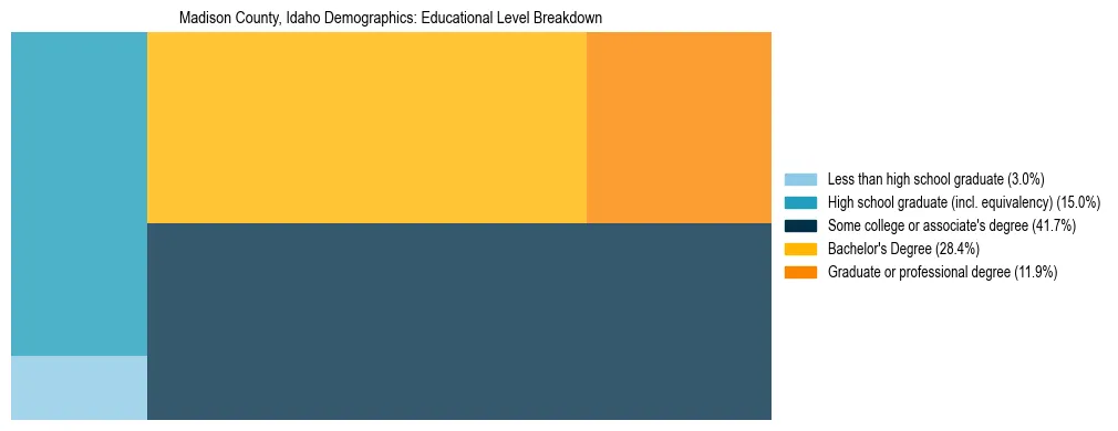 Treemap chart illustrating the educational attainment breakdown for population 25 years and over in Madison County, Idaho.