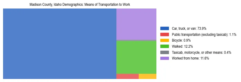 Treemap showing means of transportation to work distribution in Madison County, Idaho.