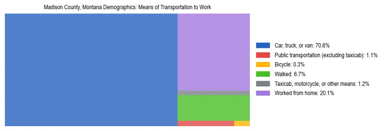 Treemap showing means of transportation to work distribution in Madison County, Montana.