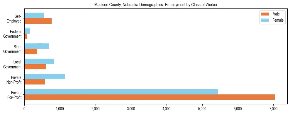 Horizontal bar chart showing employment distribution by class of worker and gender in Madison County, Nebraska, based on 2023 ACS data.