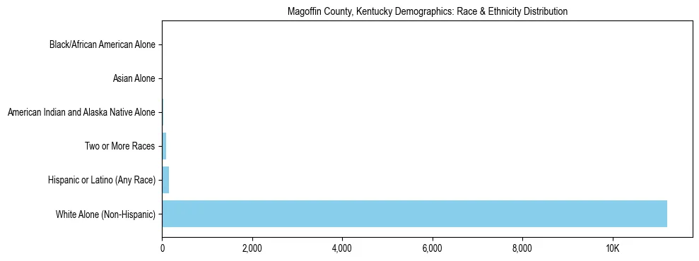 Race and Ethnicity Distribution Chart for Magoffin County, Kentucky