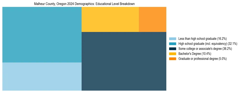Treemap chart illustrating the educational attainment breakdown for population 25 years and over in Malheur County, Oregon.