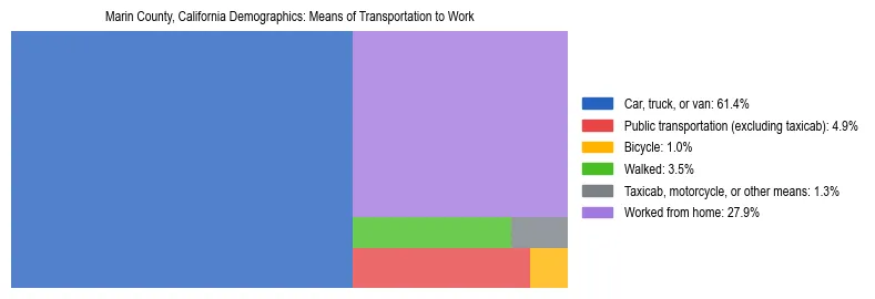Treemap showing means of transportation to work distribution in Marin County, California.