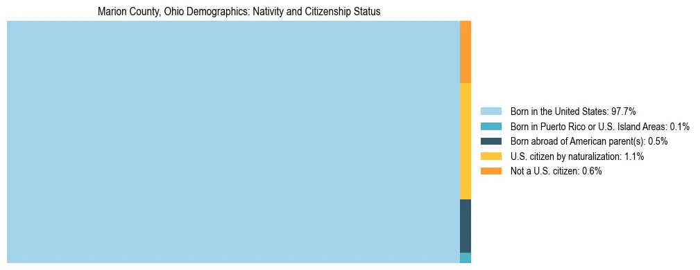 Treemap showing the population distribution by nativity and citizenship status in Marion County, Ohio based on U.S. Census data.