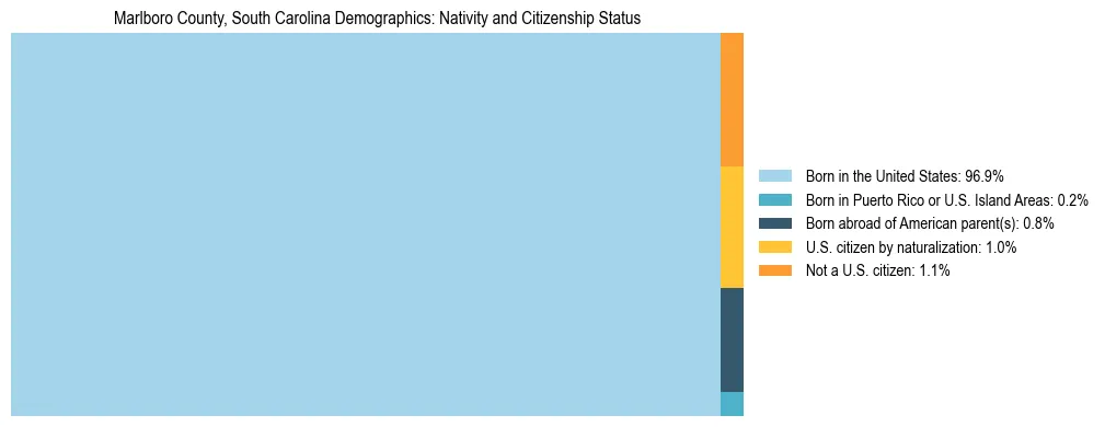 Treemap showing the population distribution by nativity and citizenship status in Marlboro County, South Carolina based on U.S. Census data.