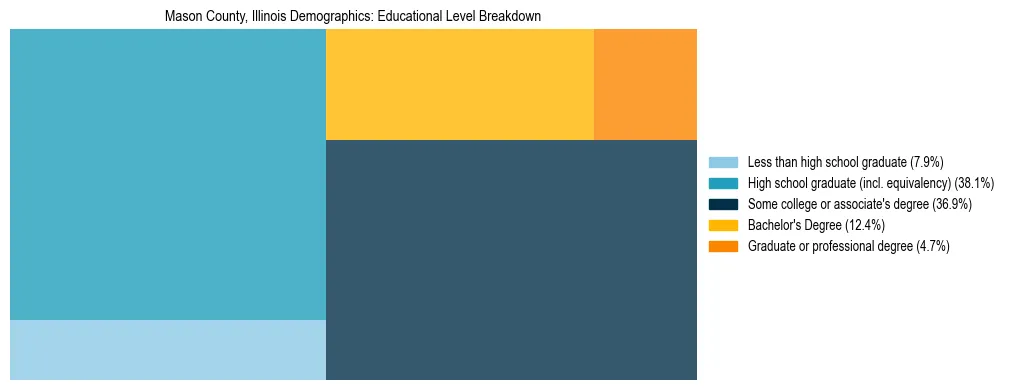 Treemap chart illustrating the educational attainment breakdown for population 25 years and over in Mason County, Illinois.