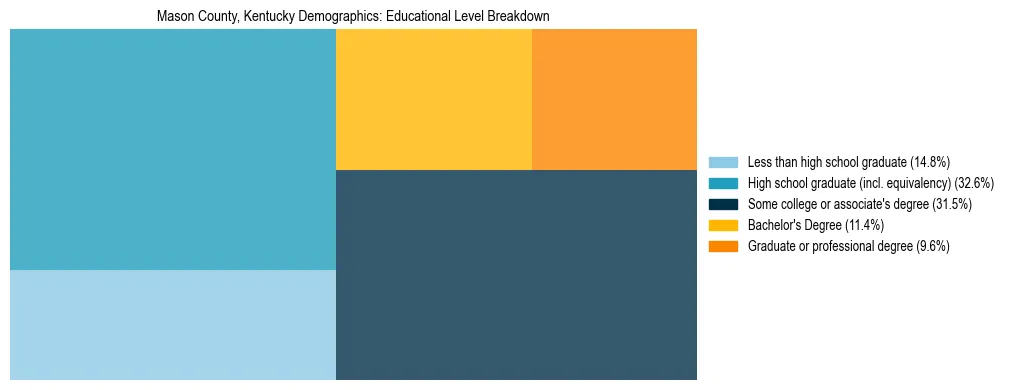 Treemap chart illustrating the educational attainment breakdown for population 25 years and over in Mason County, Kentucky.