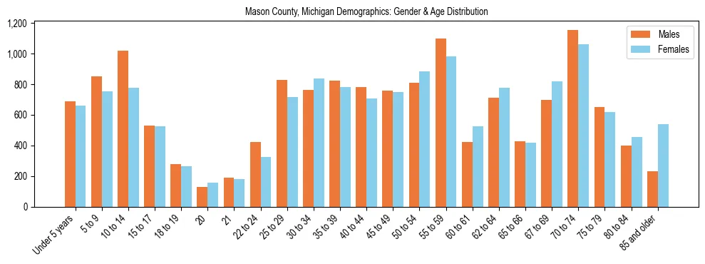 Bar chart showing the population distribution of Mason County, Michigan by age group and gender, based on 2023 ACS data.