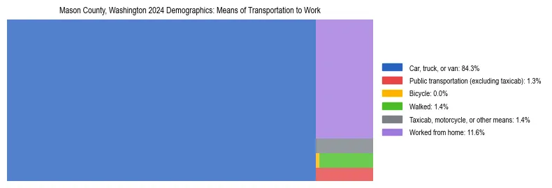 Treemap showing means of transportation to work distribution in Mason County, Washington.