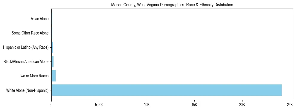Race and Ethnicity Distribution Chart for Mason County, West Virginia