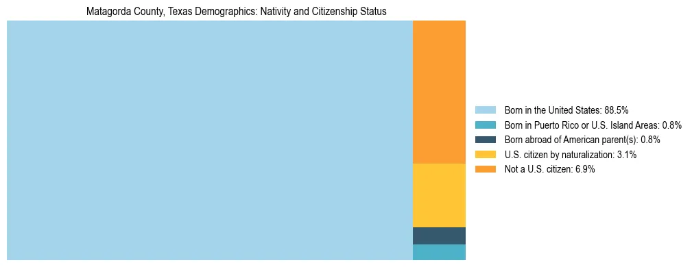 Treemap showing the population distribution by nativity and citizenship status in Matagorda County, Texas based on U.S. Census data.
