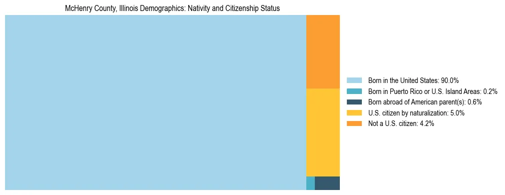 Treemap showing the population distribution by nativity and citizenship status in McHenry County, Illinois based on U.S. Census data.