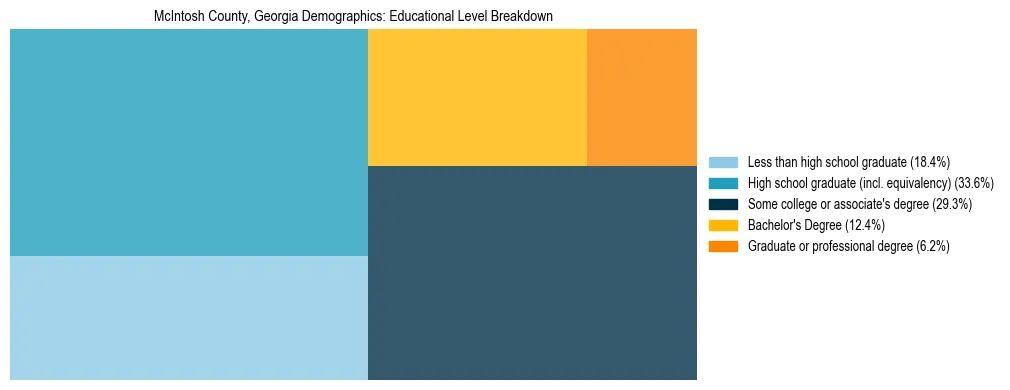 Treemap chart illustrating the educational attainment breakdown for population 25 years and over in McIntosh County, Georgia.