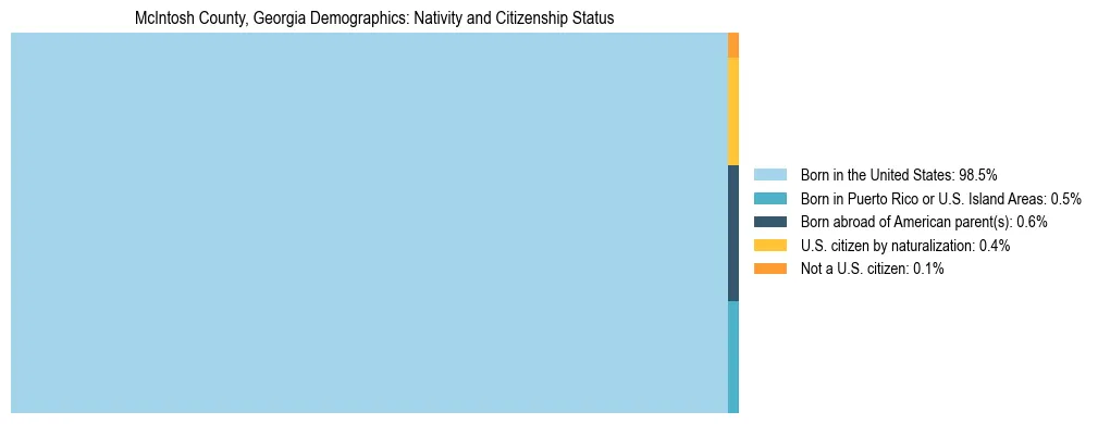 Treemap showing the population distribution by nativity and citizenship status in McIntosh County, Georgia based on U.S. Census data.